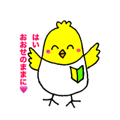 noichigo_jam_20260511151153