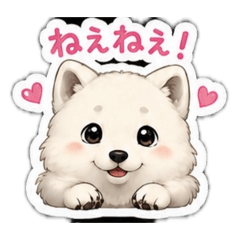 Rikko_20260511153437