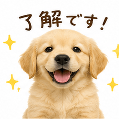 friendly Golden Retriever puppy stickers
