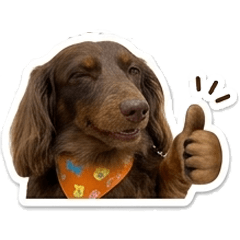 Wonderful Noel Sticker