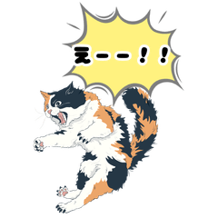 Cute cats of cute cats.