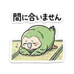 shisa_20260514110715