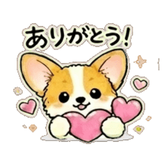 Chill Corgi