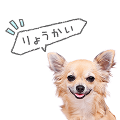 Stamp No:9023