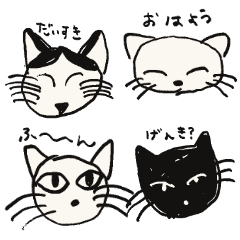 All Kinds of,Cats