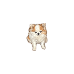 K_20260511133703