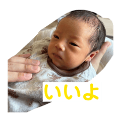koa_20260511134933