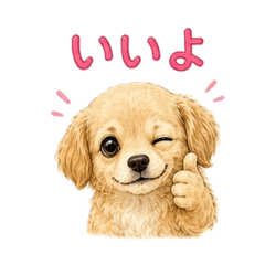 mocca_20260511141508