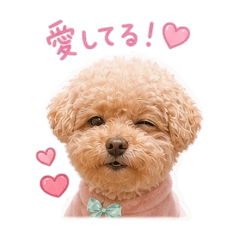 Kowakunaiyo_20260511134945