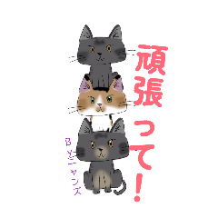raimu_20260511142023