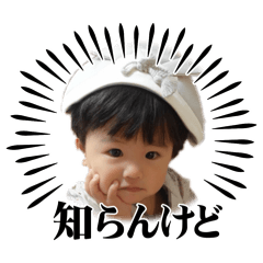 nya_20260511142250