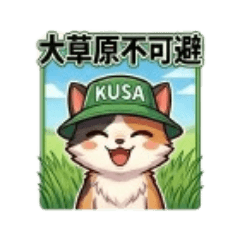 Richimo_20260511141231
