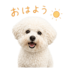 Runa_20260511141001