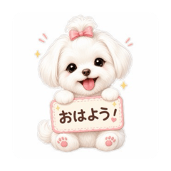 coshihikari_20260511142143