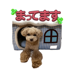 woody_20260511142755