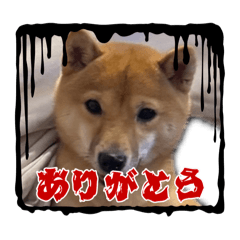 anko1one