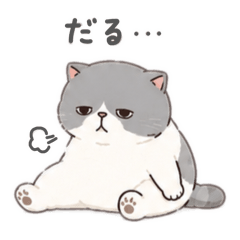 neetcat_20260511141952