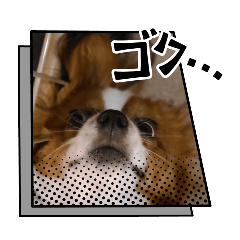 HAPPY!_20260511142019