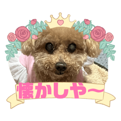 Aripoke_20260511141609