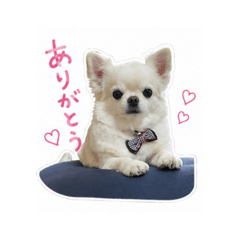 mooooooko_20260511142825