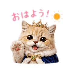 miyako_20260511160105