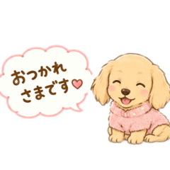 TAKA_20260511160614