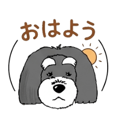 masakari_20260511155642