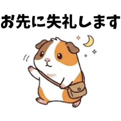 Quirky guinea pig stickers-2