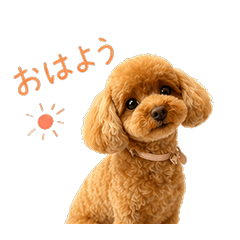 my cute family Cocoa