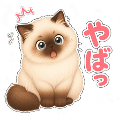 Fluffy Himalayan Cat Stickers