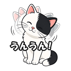 Shion Cat: I Feel You!