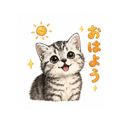 Minuet cat Daily Chat Stickers