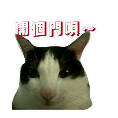 焦丁