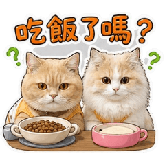 我們這一家-橘子柚子寶寶