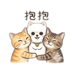 我們家毛孩2