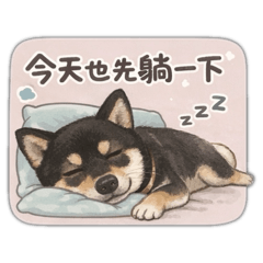 來財妞
