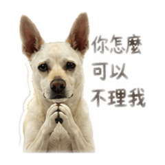 抖宅的情侶勒索篇