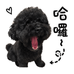 Kuma Wu