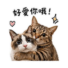 BuBu&阿鼻相愛日常