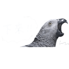 樂樂✨