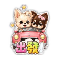 可愛吉娃娃生活用語3