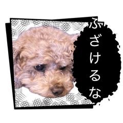 Tirorutyoko0802