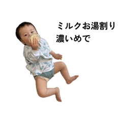 plum_20260511144408