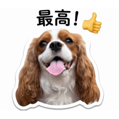 moco_20260511170814