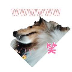 hanahana_20260511165500