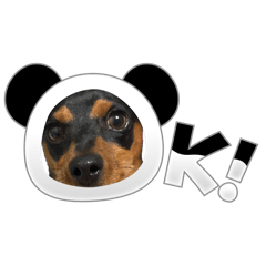 fuku.1020_20260511170400