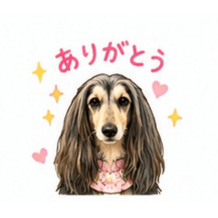LIA_20260511165439