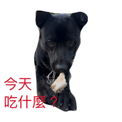那就承擔而已