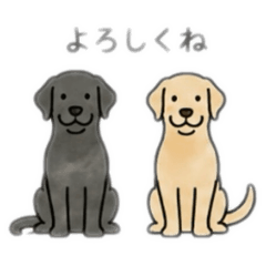 Mitofu_20260511171406