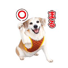 akira_20260511165603